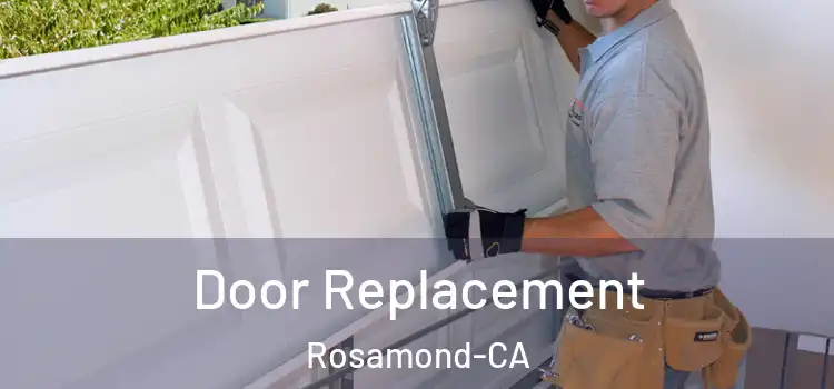  Door Replacement Rosamond-CA