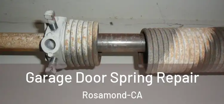  Garage Door Spring Repair Rosamond-CA