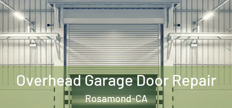  Overhead Garage Door Repair Rosamond-CA