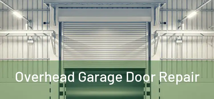  Overhead Garage Door Repair 